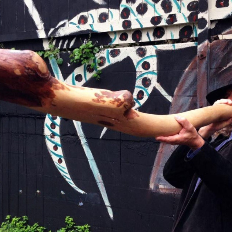 Avustralya'dan ithal müzik ale - Musical Instrument Didgeridoo incelemesi ve fiyatı