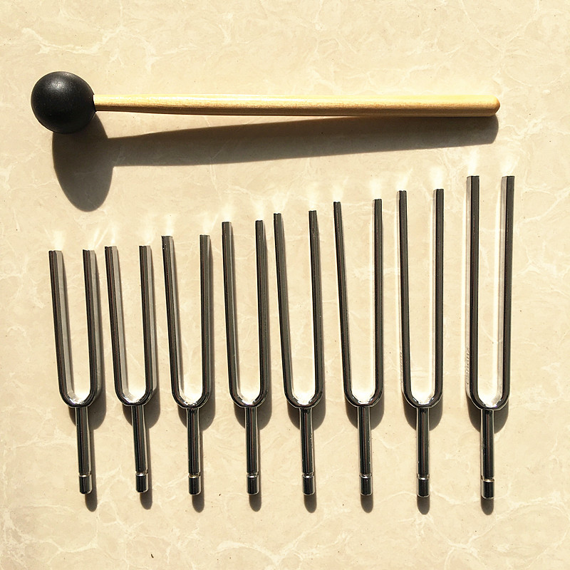Akort Çatalı 8 Grup Müzik Grub - Musical Instrument Groups incelemesi ve fiyatı